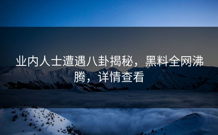 业内人士遭遇八卦揭秘，黑料全网沸腾，详情查看