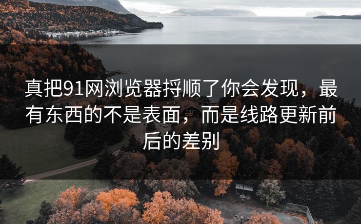 真把91网浏览器捋顺了你会发现，最有东西的不是表面，而是线路更新前后的差别
